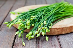 Chives flower, Garlic chives or Chinese Chive. Yang deficiency