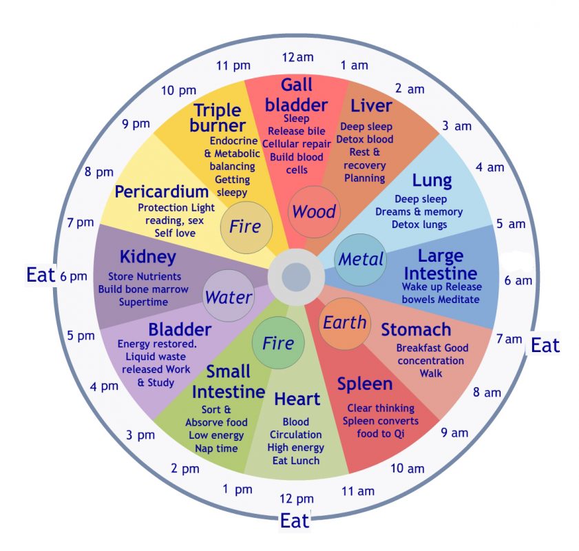Chinese body clock. In Chinese medicine feeding infants on a schedule helps children completely digest food preventing illness.