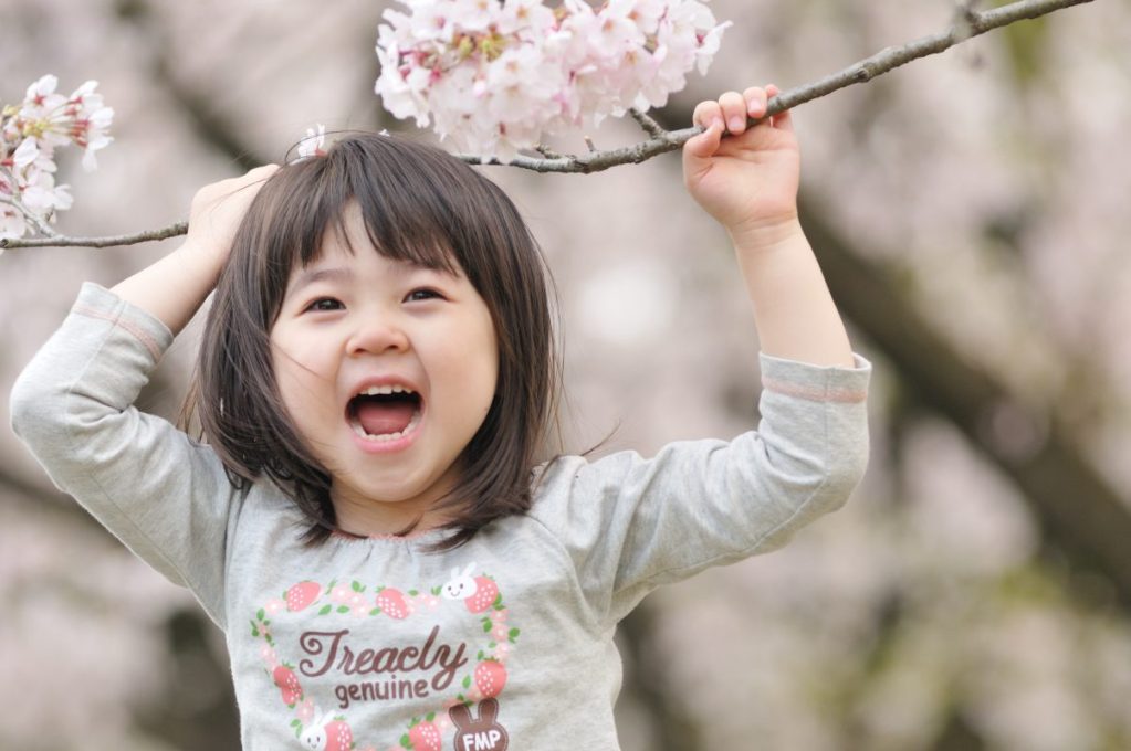 Toddler playing with cherry blossoms in the spring. Children grow more in the spring. Your yearly feeding schedule should provide foods that help them with this growth spurt.
