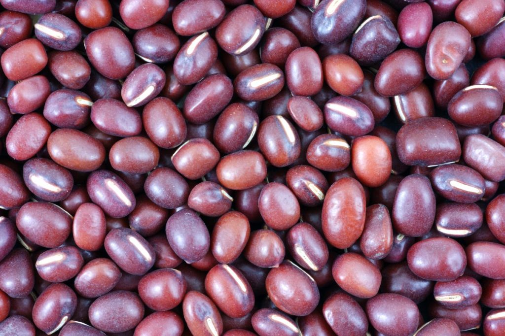Small red bean or adzuki beans