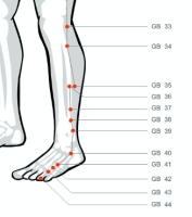Gallbladder points 34 and 40 Stop headache pain on your temples by massaging acupressure points gallbladder 34 and 40