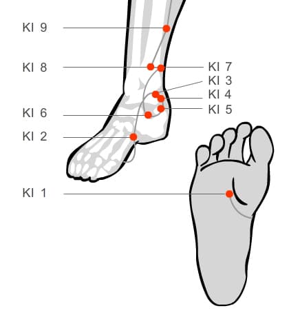 Kidney acupressure massage points of the foot and lower leg