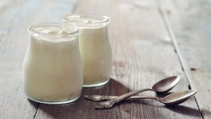 Plain yogurt is okay for people with a phlegm damp constitution