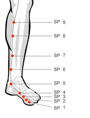 Acupressure points Spleen 6 Sanjinjia and Spleen 9 Yinlingquan for a hot constitution
