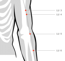 Lung acupressure points 3 to 6 clear qi stagnation Lung acupressure points 3 to 6 clear qi stagnation