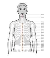 REN Conception Vessel acupuncture acupressure points REN Conception Vessel acupuncture acupressure points